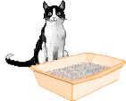 CatStuff animation