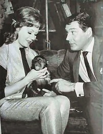 Gene
                          Barry and Mayo