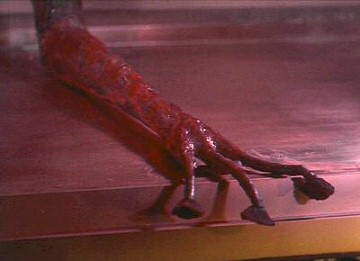 The War of the Worlds photo