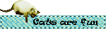 Cats are fun