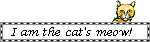 I am the cat's meow!