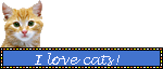 I love cats!