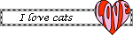 I love cats