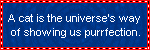 A cat is the universe's way of showing us purr-fection.