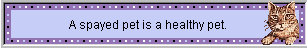 A spayed pet is a healthy pet