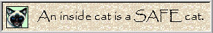 An Inside Cat is a Safe Cat