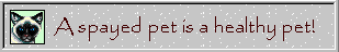 A spayed pet is a healthy pet!