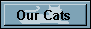 Our Cats
