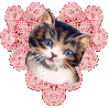 Kitty in lacy heart