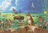 Prairie