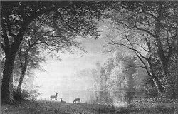 Indian Sunset - Deer by a Lake