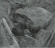 New England Study near Glen House, Thompsons