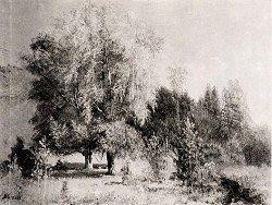 Trees in a Landscape