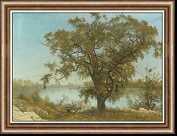 A View from Sacramento