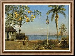 A View in the Bahamas