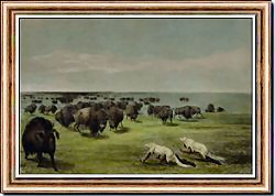 Buffalo Hunt