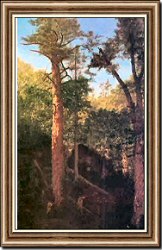 Cathedral Forest, Sequoia Garden - Calvars County