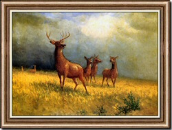 Deer in a Field