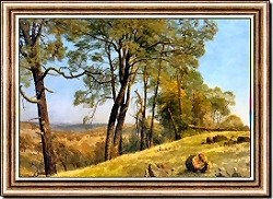 Landscape, Rockland County, California