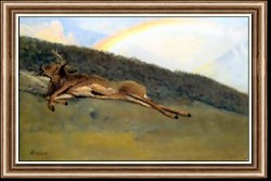 Rainbow over Fallen Stag