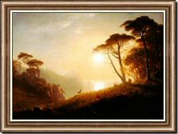 Scene in Yosemite Valley