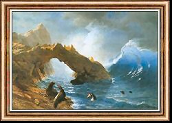 Seals on the Rocks at Farallon