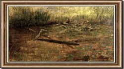 Study of Water Lilies