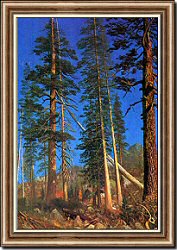 Summit, Sierra Nevada