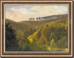 Sunrise over Forest and Grove