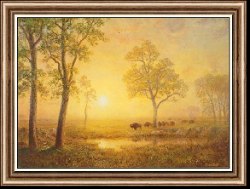 Sunset on the Mountain