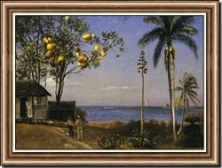 Tropical Scene