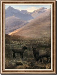 White Mountains near Glen House