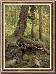 Hunter in the White Mountains near Glen House