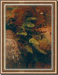 White Mountains Study of Ferns above Emerald Pool