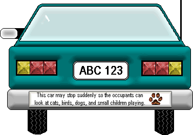 This car stops suddenly to look at cats, dogs, birds, and anything else that is moving.