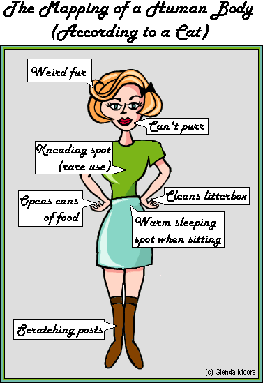 Mapping of the Human Body (According to a Cat)