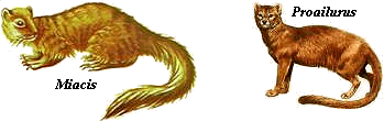 Miacis and Proailurus