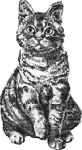 Cat
                                sketch