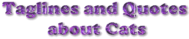Taglines and Quotes about Cats