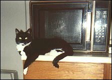 Buster hanging around