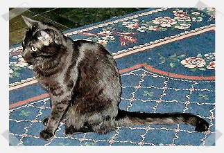 Rebecca Elizabeth Moore Miller